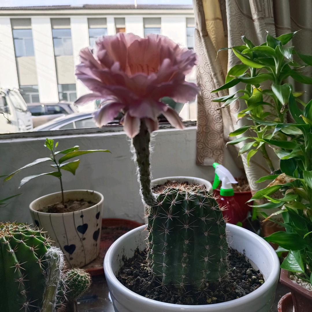 爱上心“❤️”旅行