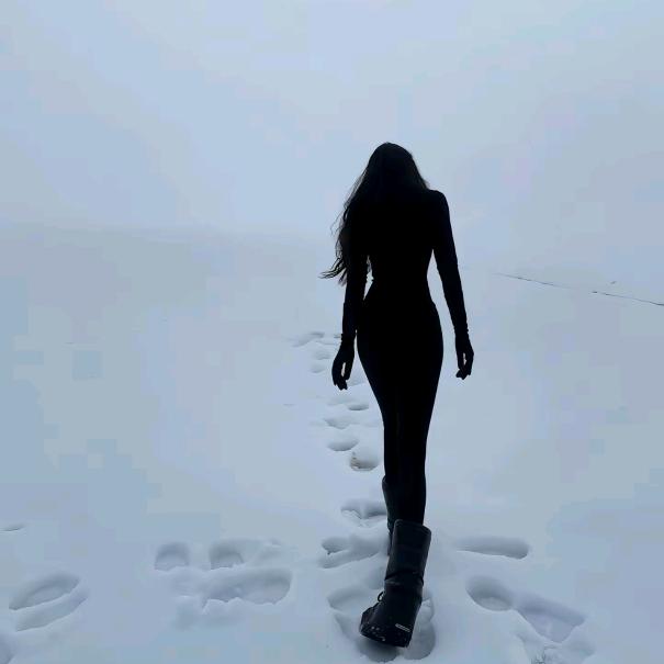 芬达-