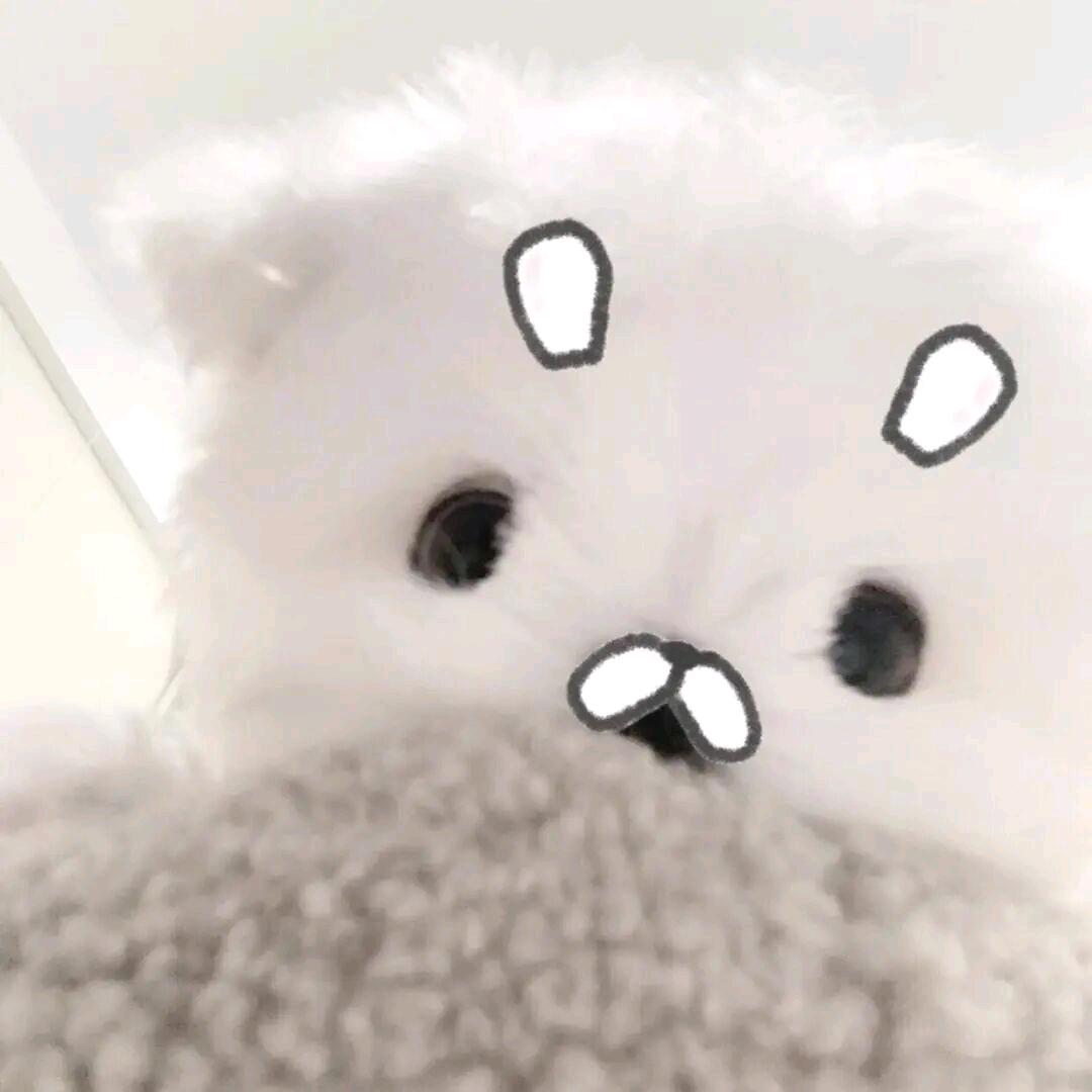 网恋奔现后发现对方是4i舍友