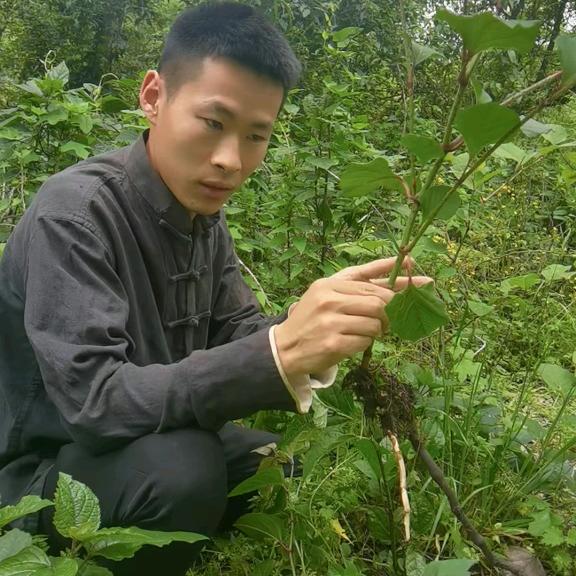 6代传承人