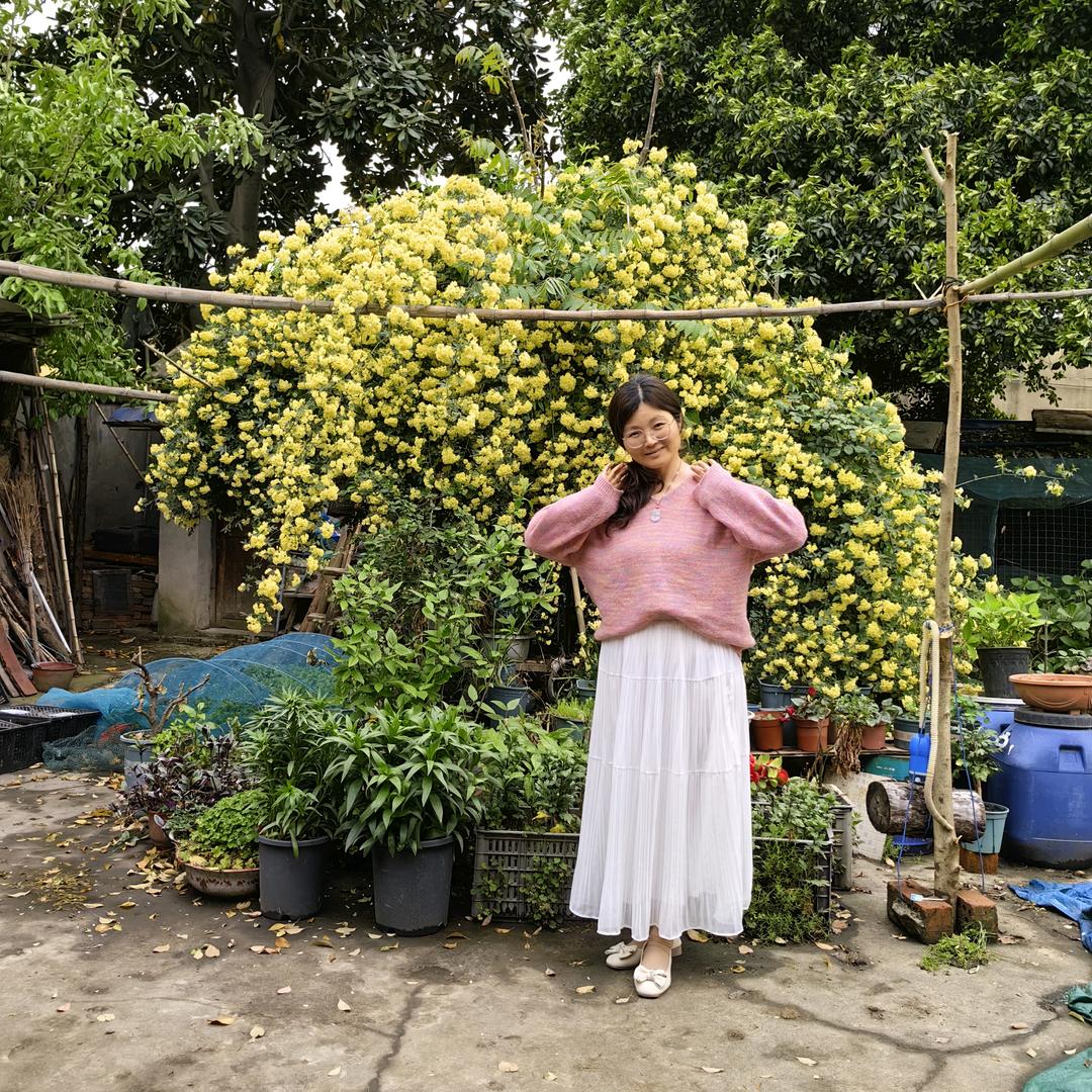 琴橙的露台小花园🌸
