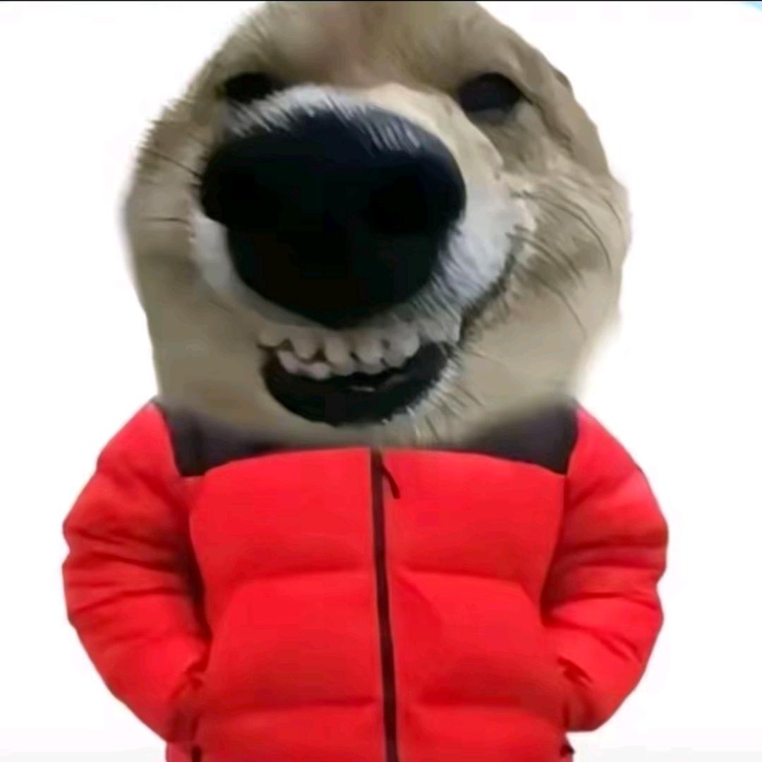 ylnx