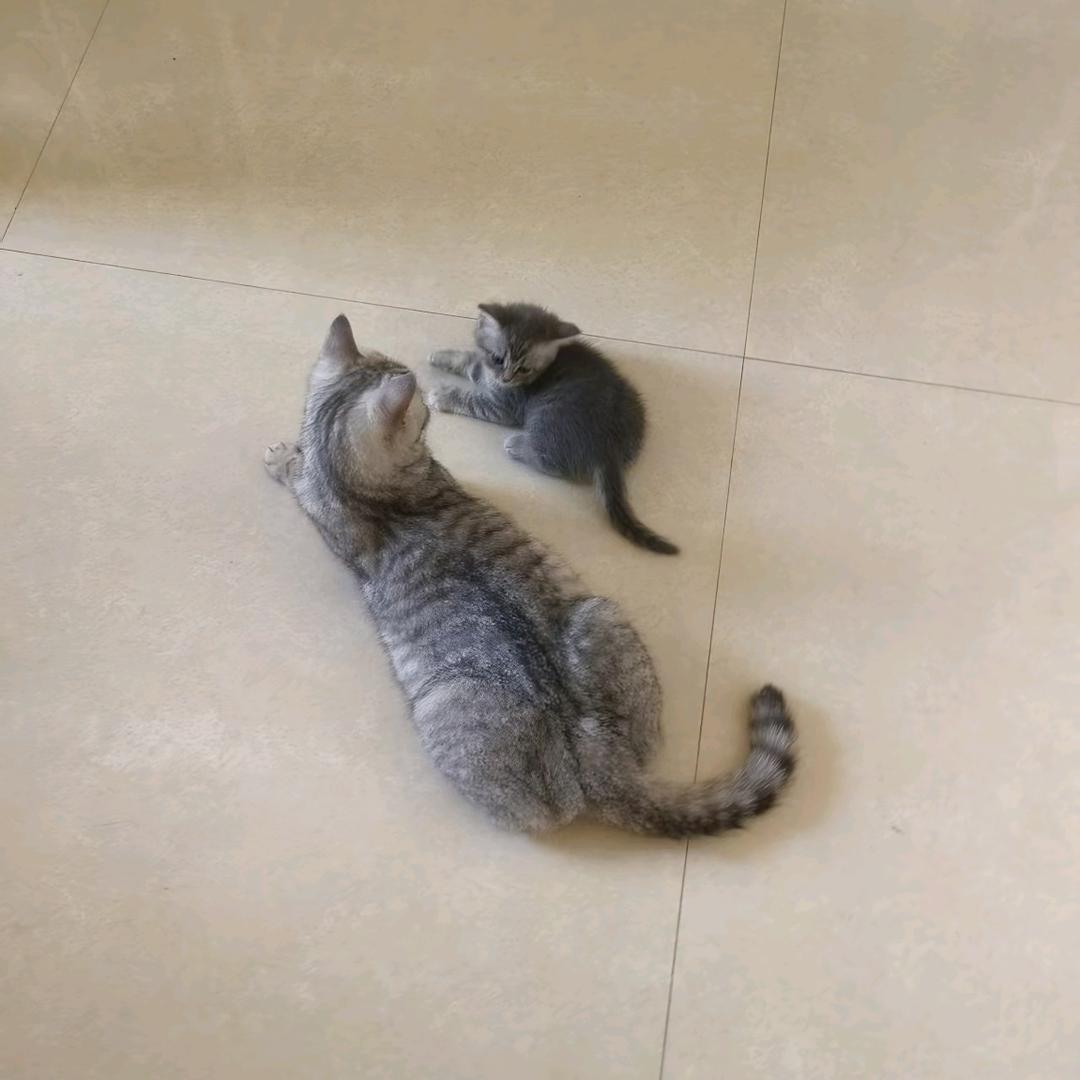 心想事成