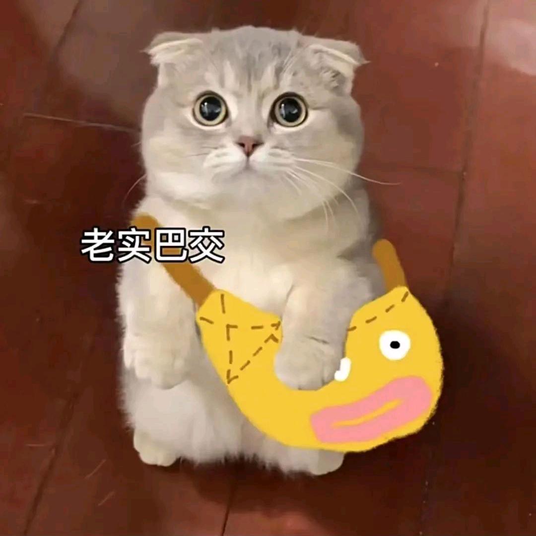✌好运✌