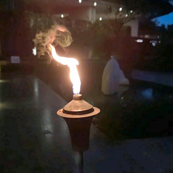 暖暖👑