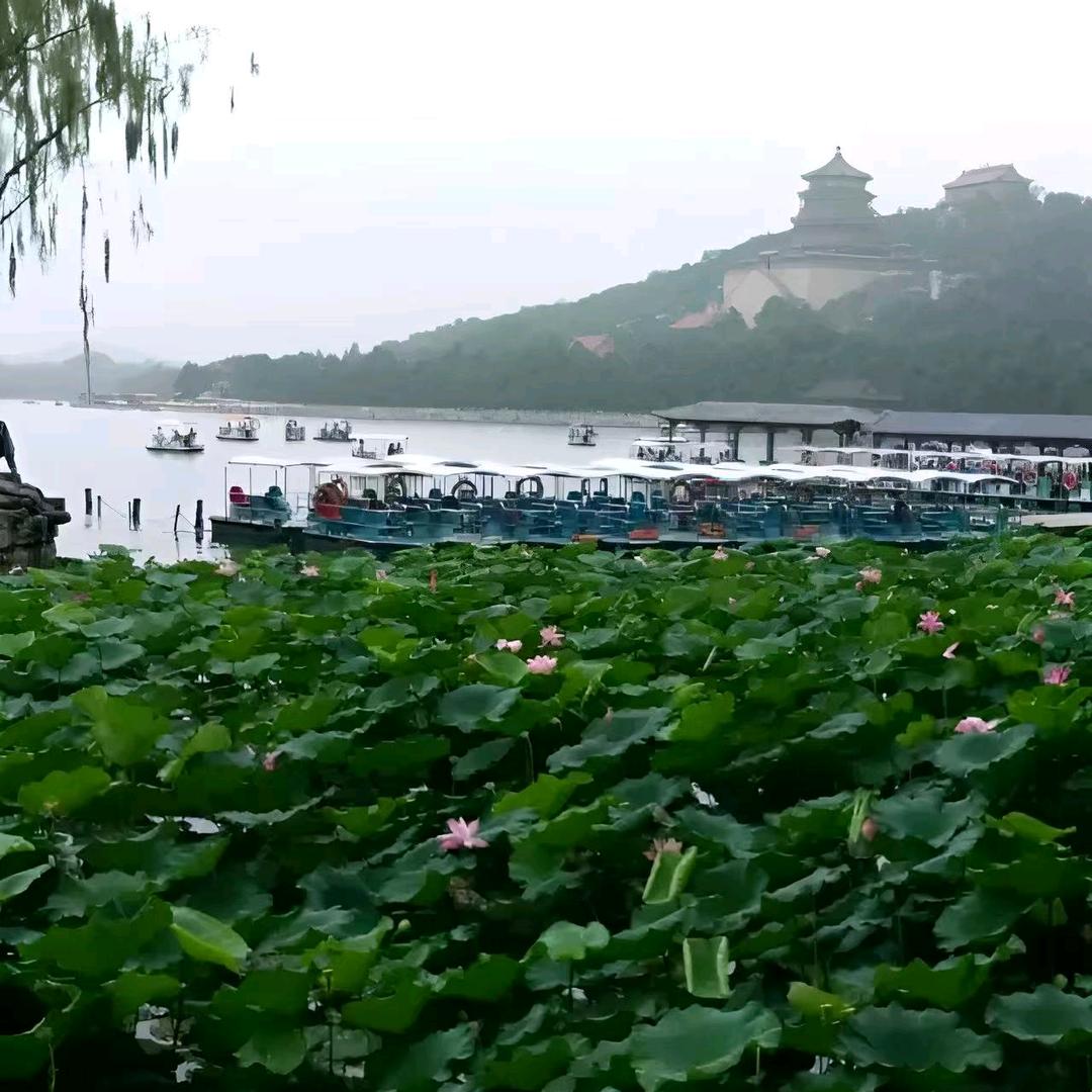 稳稳的幸福