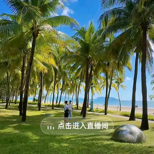 蓝天168