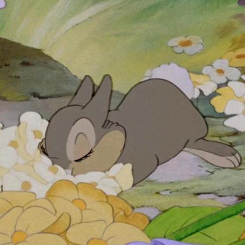 吃葡萄只吃葡萄皮