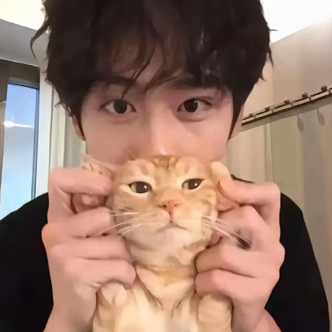 🐾i欣小天才