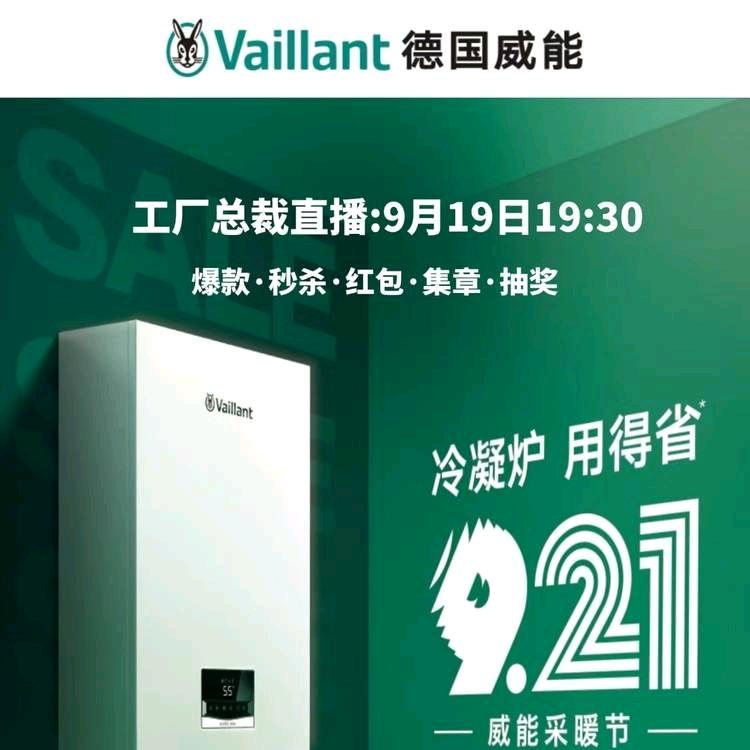 德国威能壁挂炉，和政店