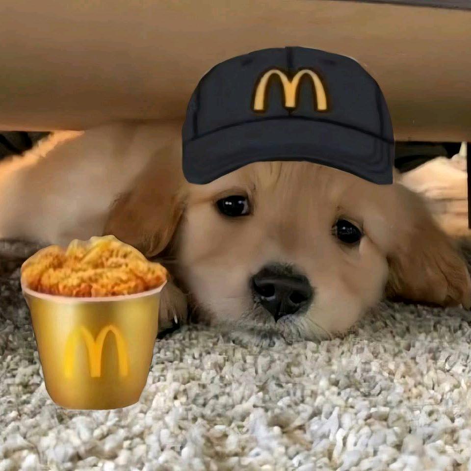 忆忘