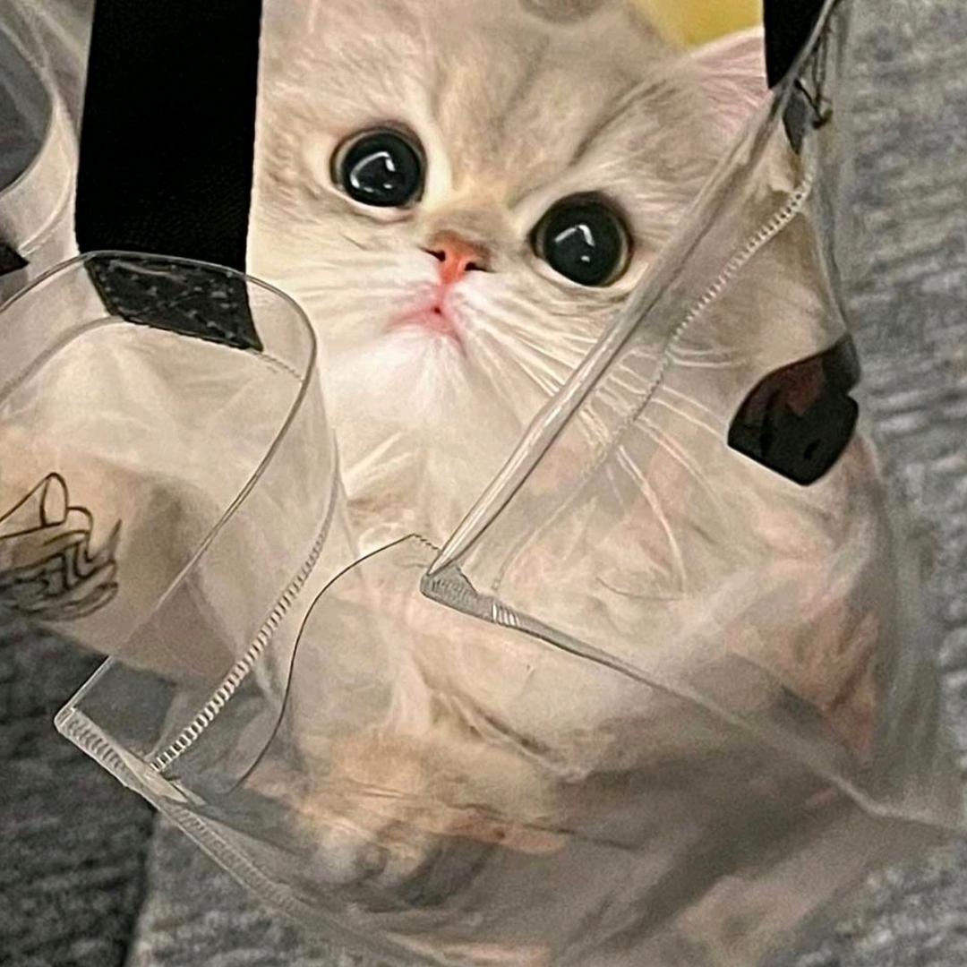小小rabbit