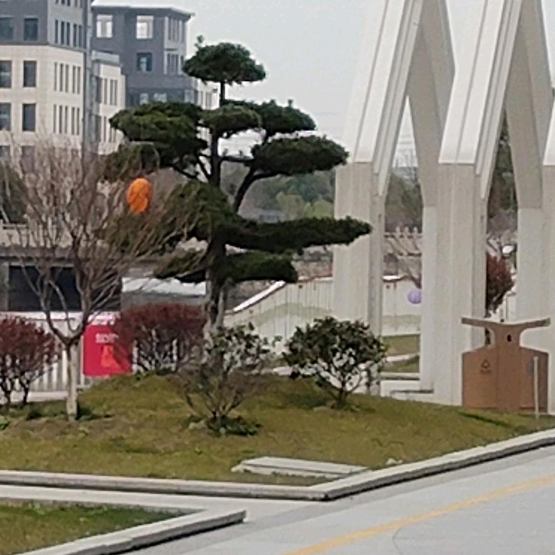 爷们要战斗