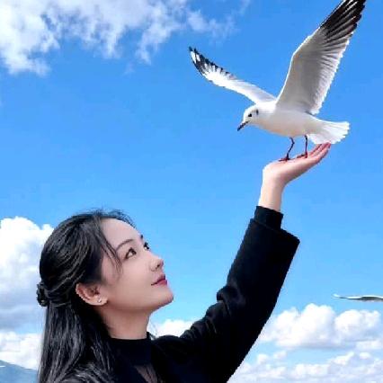 姐的世界你不懂《煃椅》