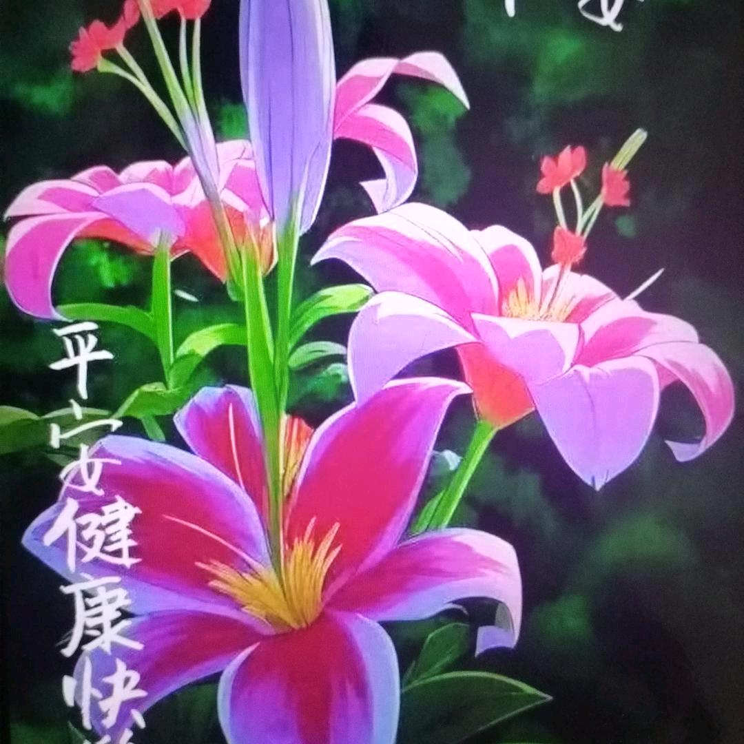 天上的云