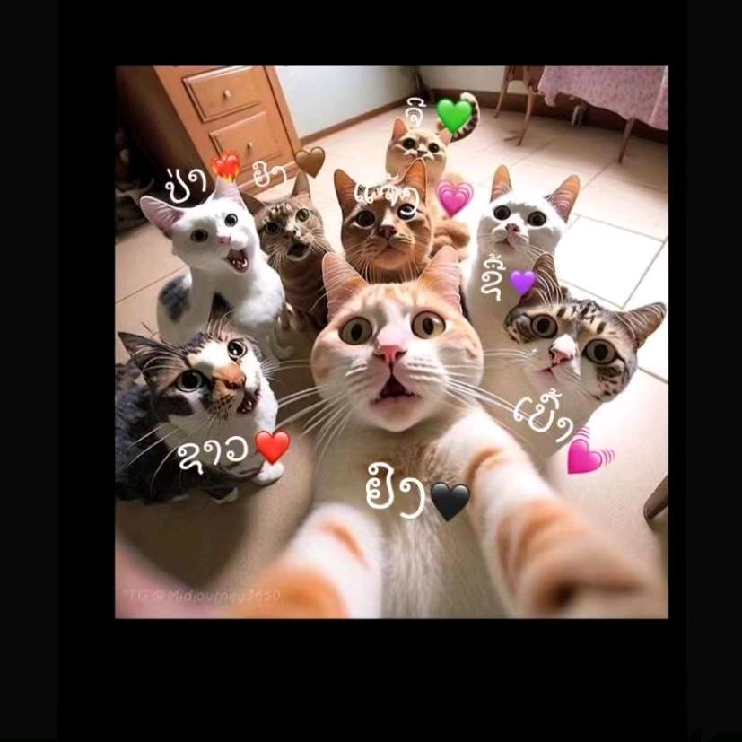 ອະຊົວ🐇ຕົວຈີງ🖤🍆