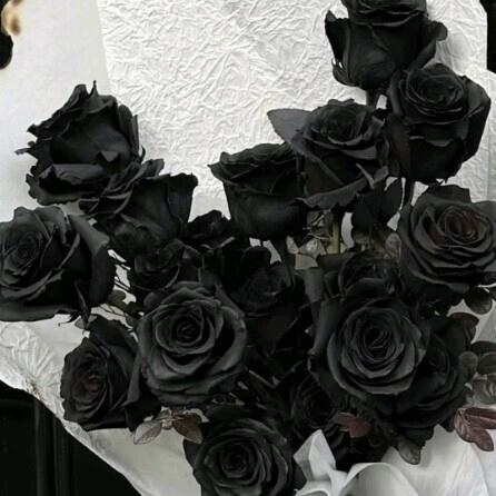 💞何必一亾情深👧💬ღ᭄