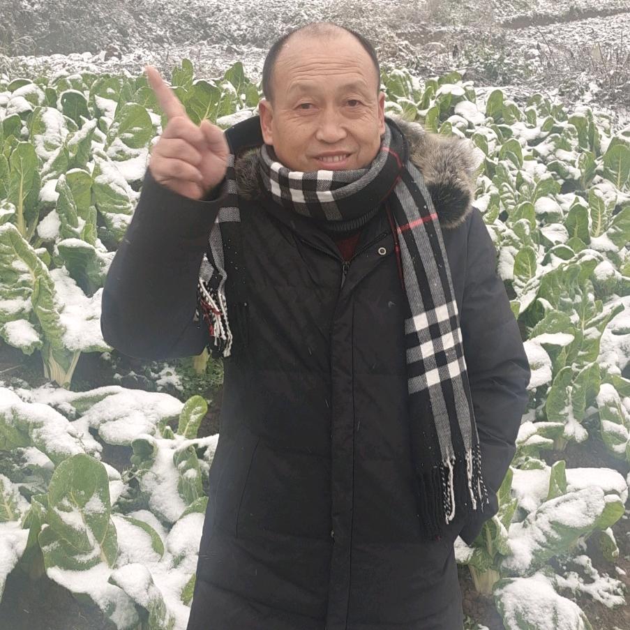 封心❤️锁爰波春秋