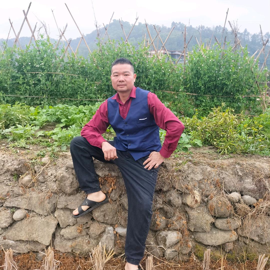 风在吹，忘不了你