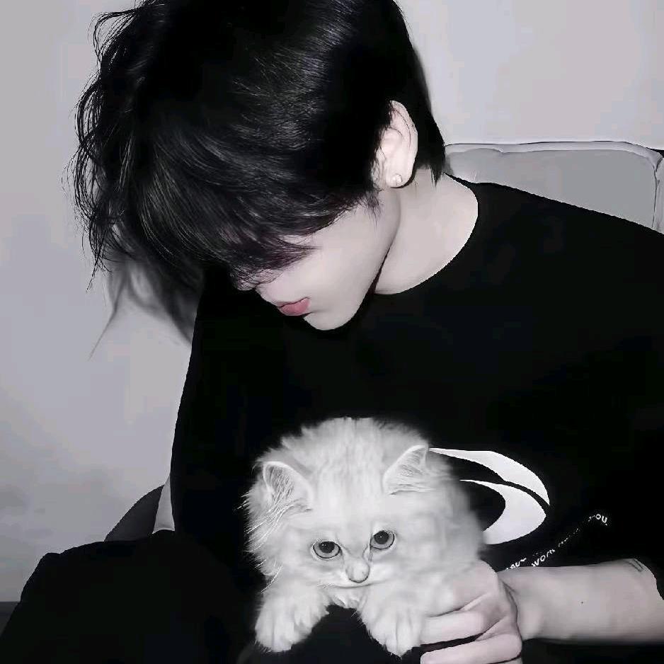 Qy.三木/歌👑芝芝宝