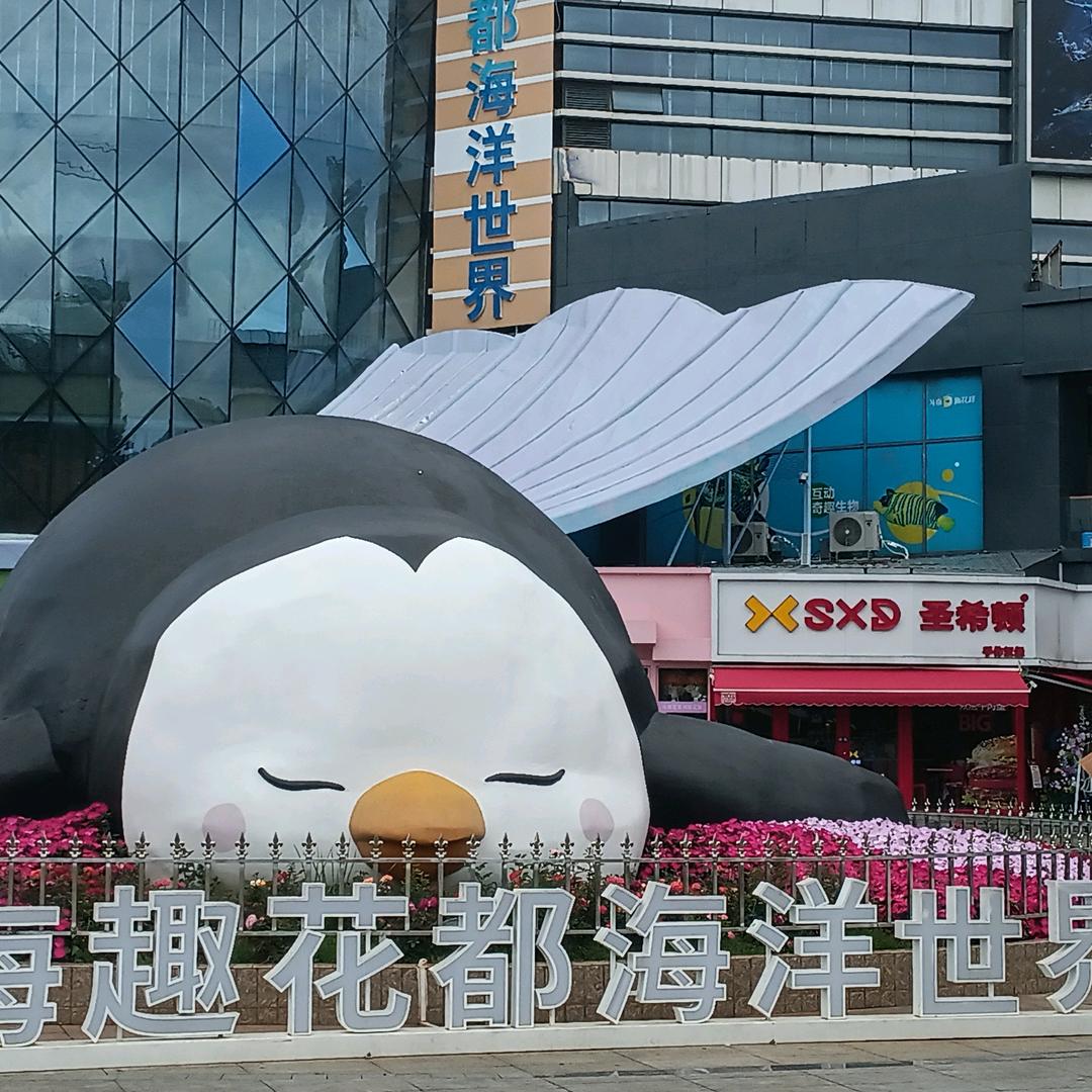 你笑什么