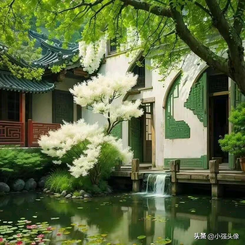 沉默无语