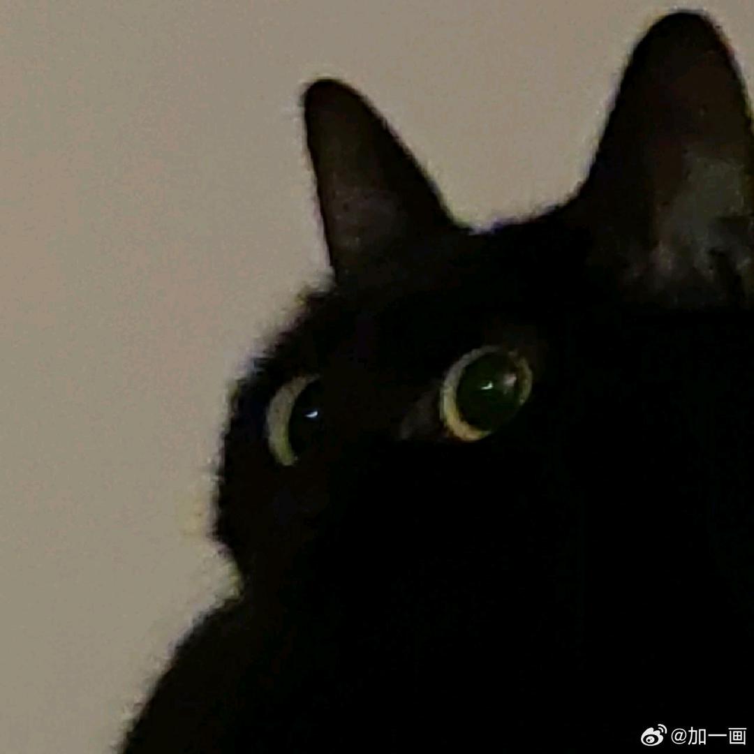 晞音
