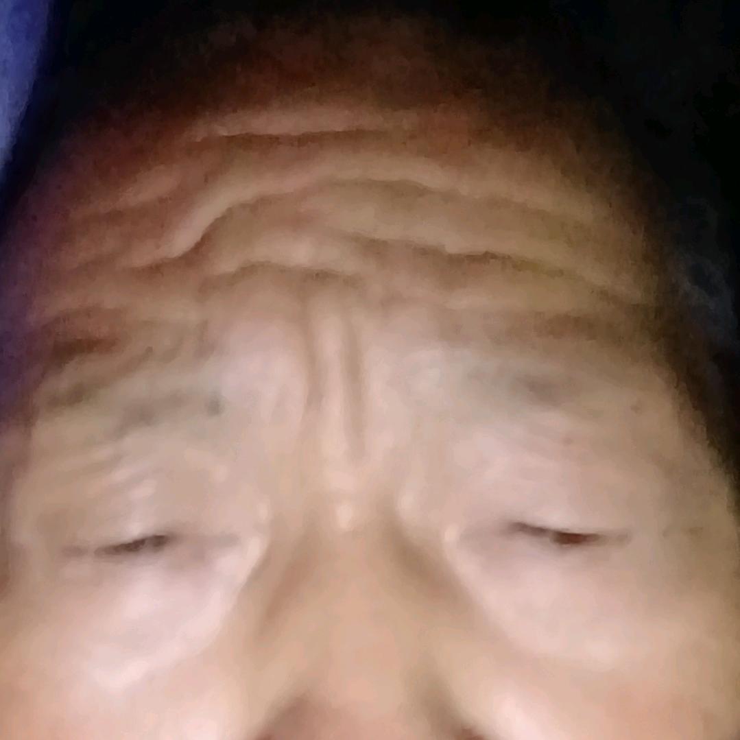 收下了一天到晚217395355865