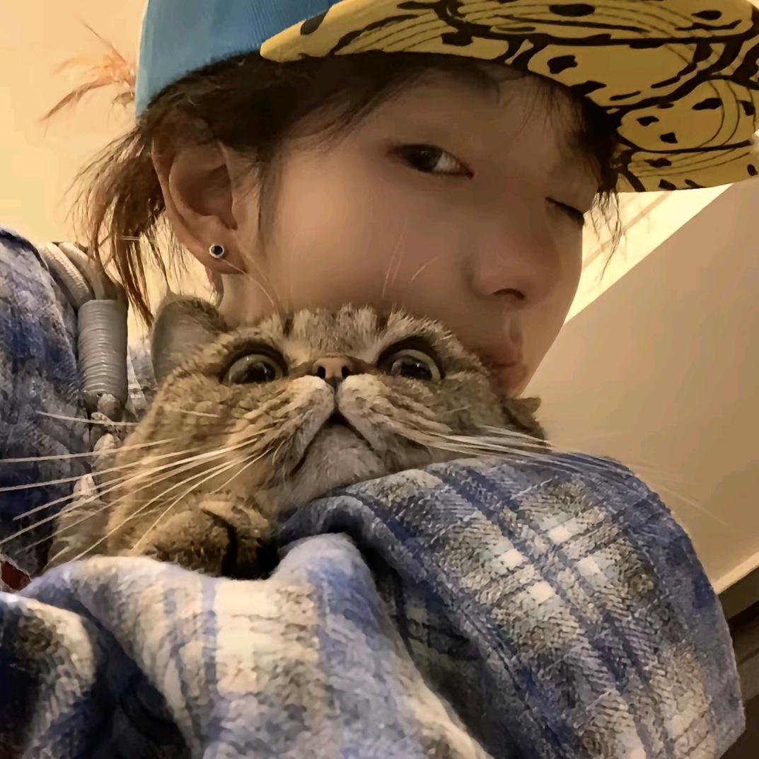 新之助的新