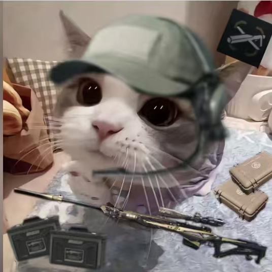 鼠鼠大队长（接三角洲跑刀）