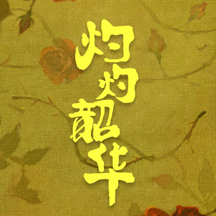 灼灼韶华（野心不基础版