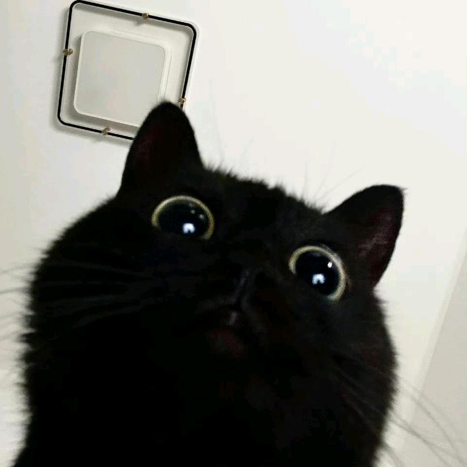 R. L