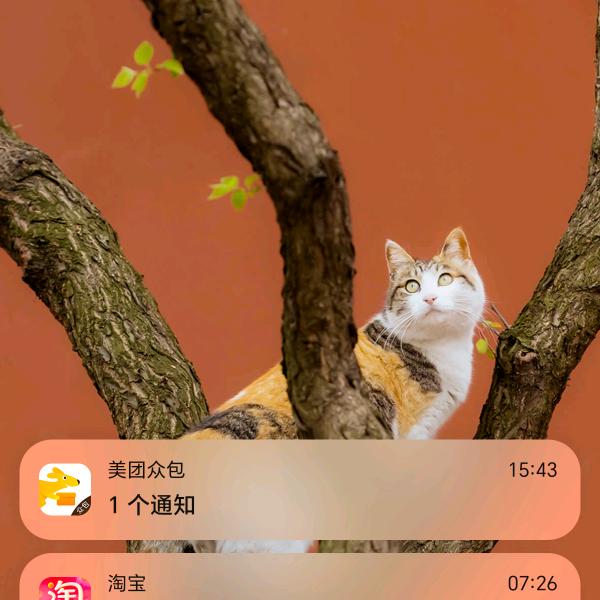 潇洒先生