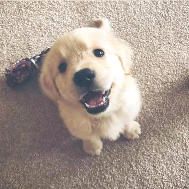 ㅤㅤㅤㅤㅤㅤㅤㅤㅤㅤㅤㅤㅤㅤㅤㅤ