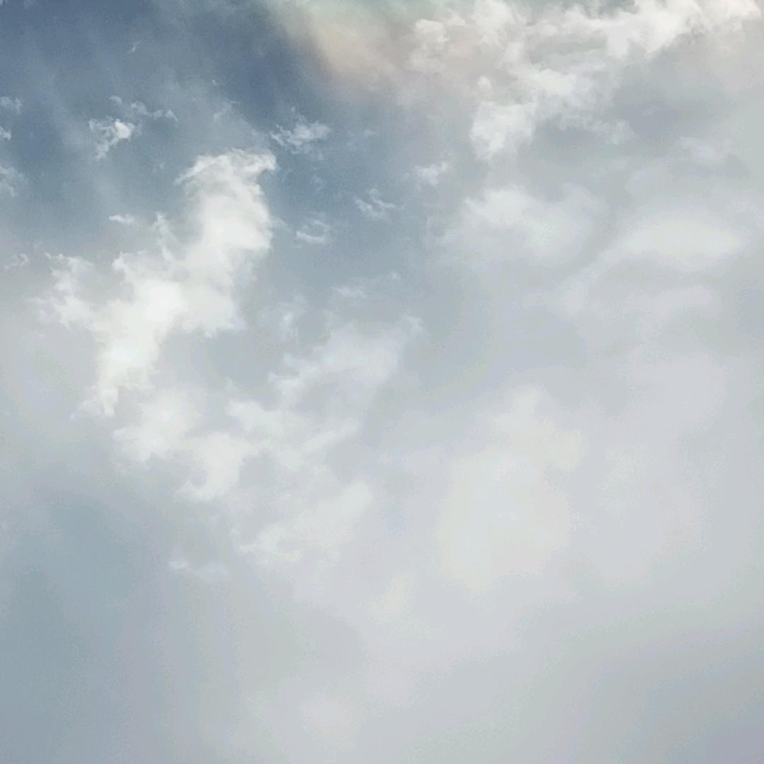 春丽