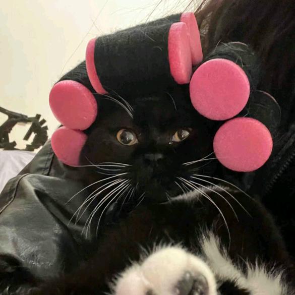 🌈𝙔𝙤𝙡𝙤ᥫᩣ