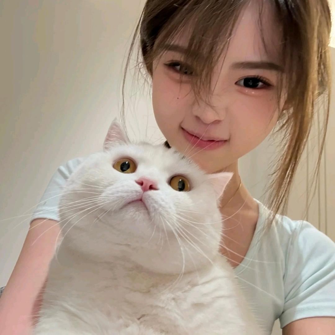 ㅤㅤ ㅤㅤㅤ ㅤㅤㅤ
