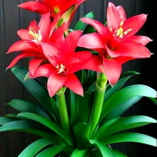 平安健康🍊🍊