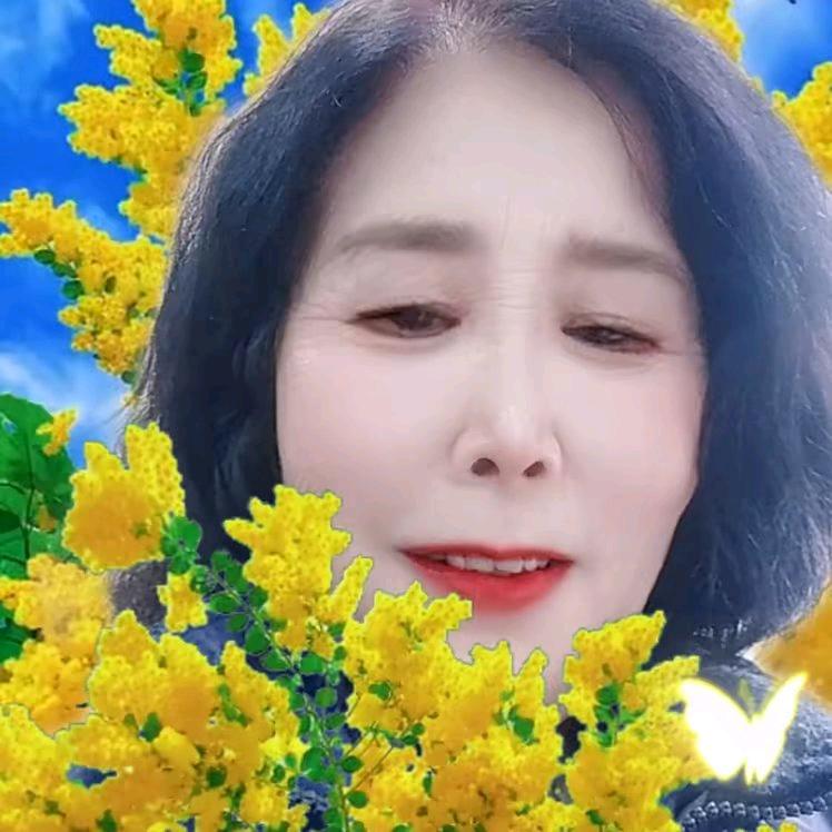 陈辰辰