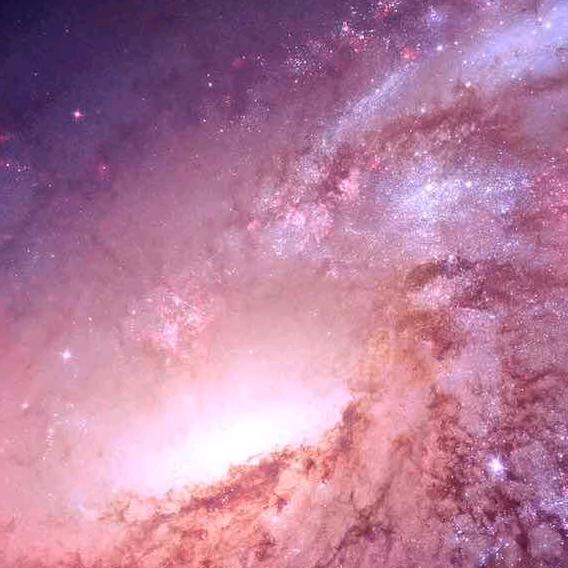 薇骐(首播)工程资料