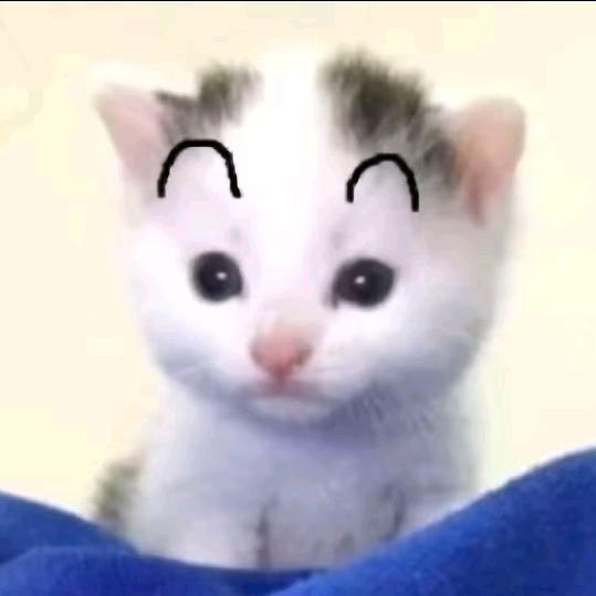 我是无敌战神带飞的那种