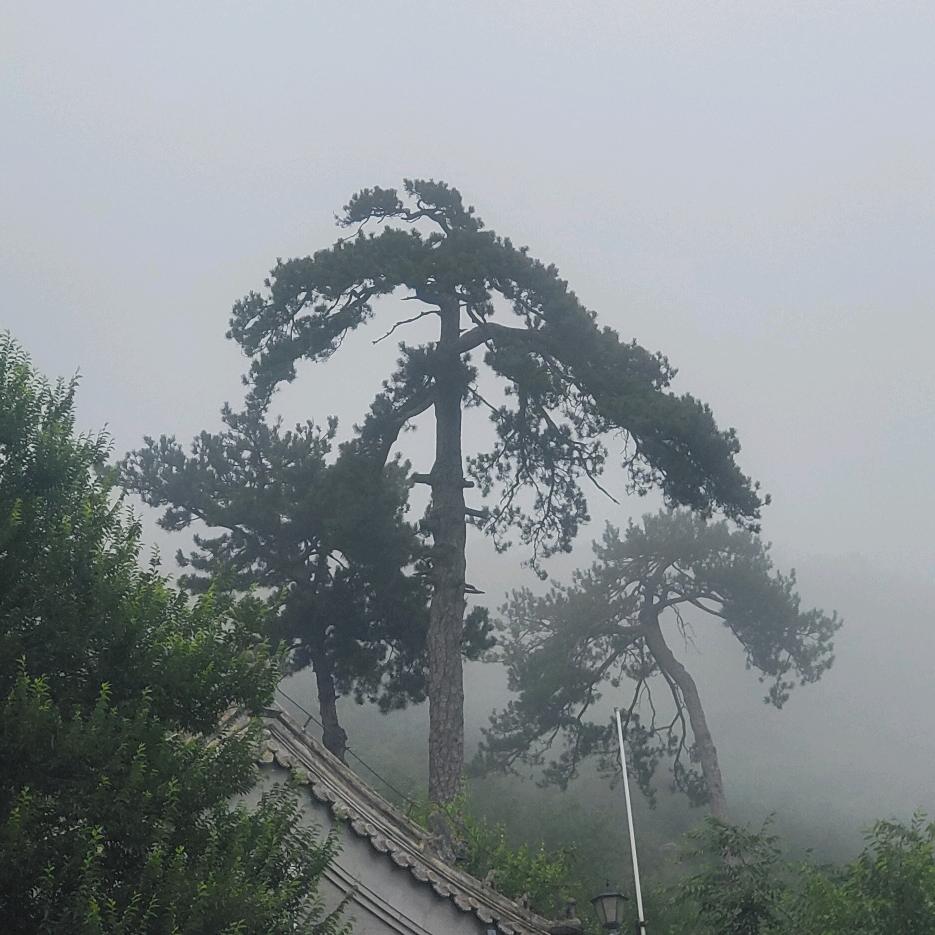 农村已整改，套路深似海