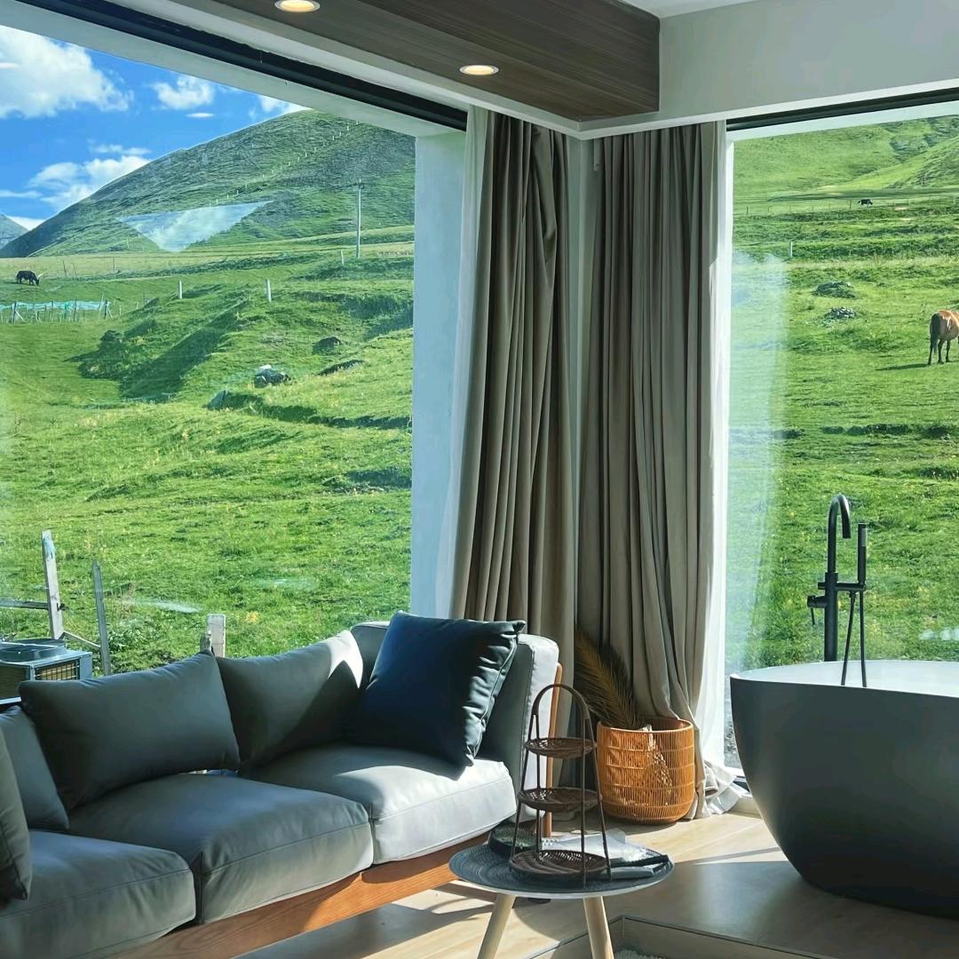 用户有两条狗🐶爆单和大麦