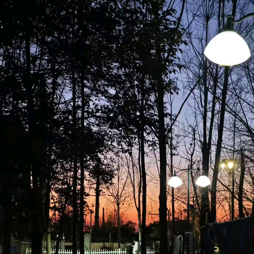 满池王八我命最长