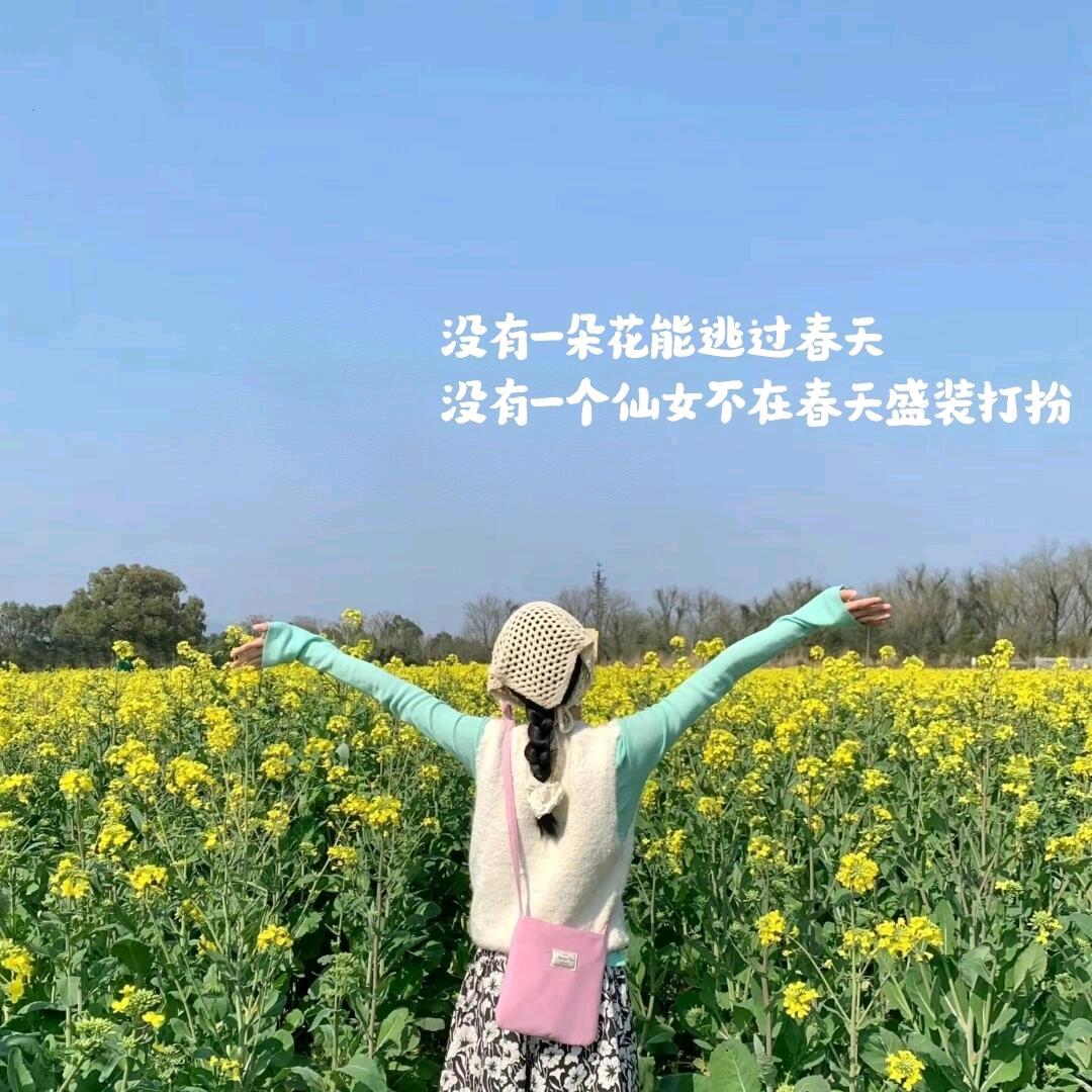 木 南
