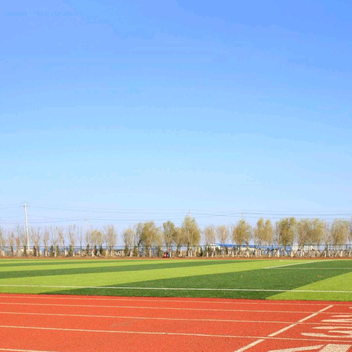 子纯臻选阁
