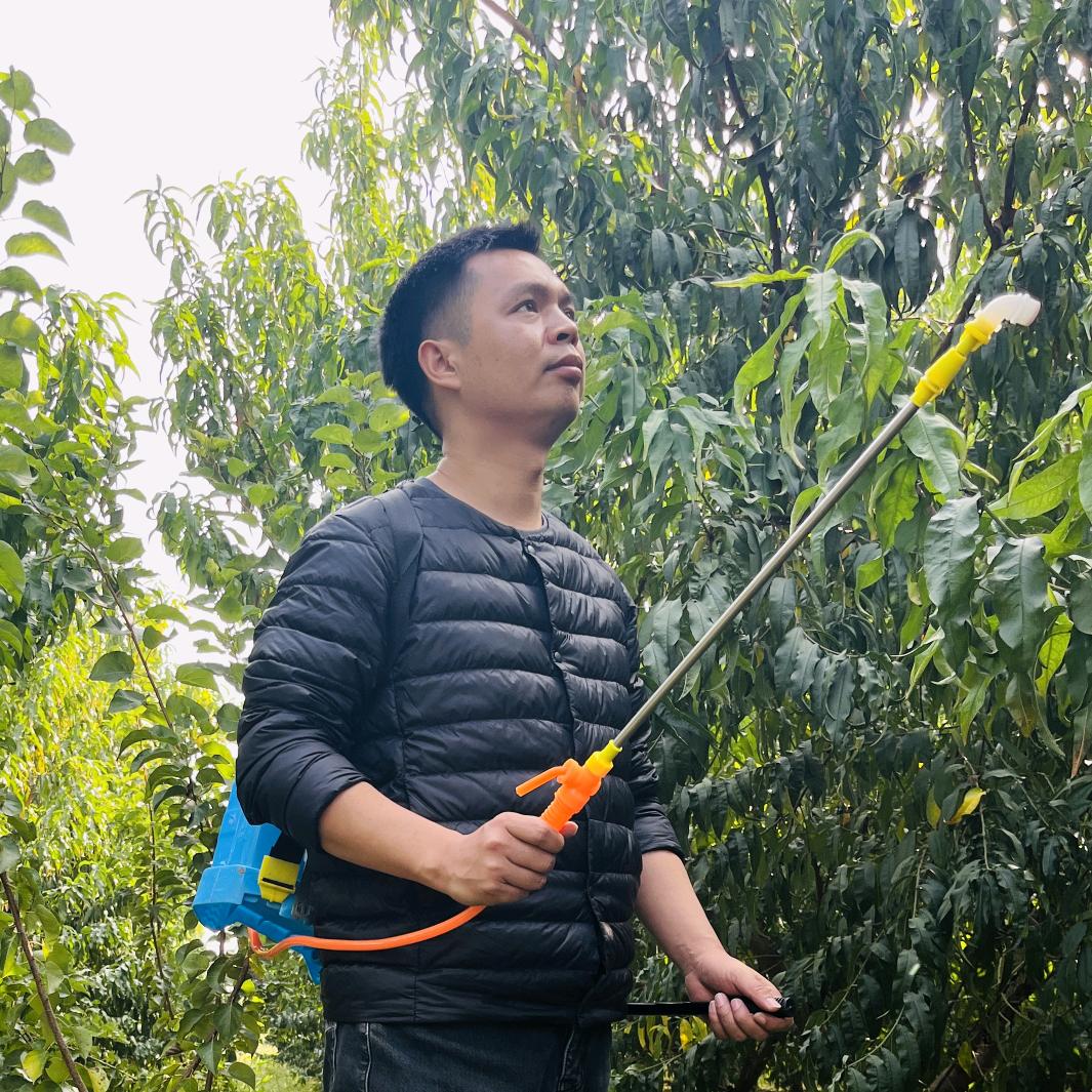 果树种植大明1618