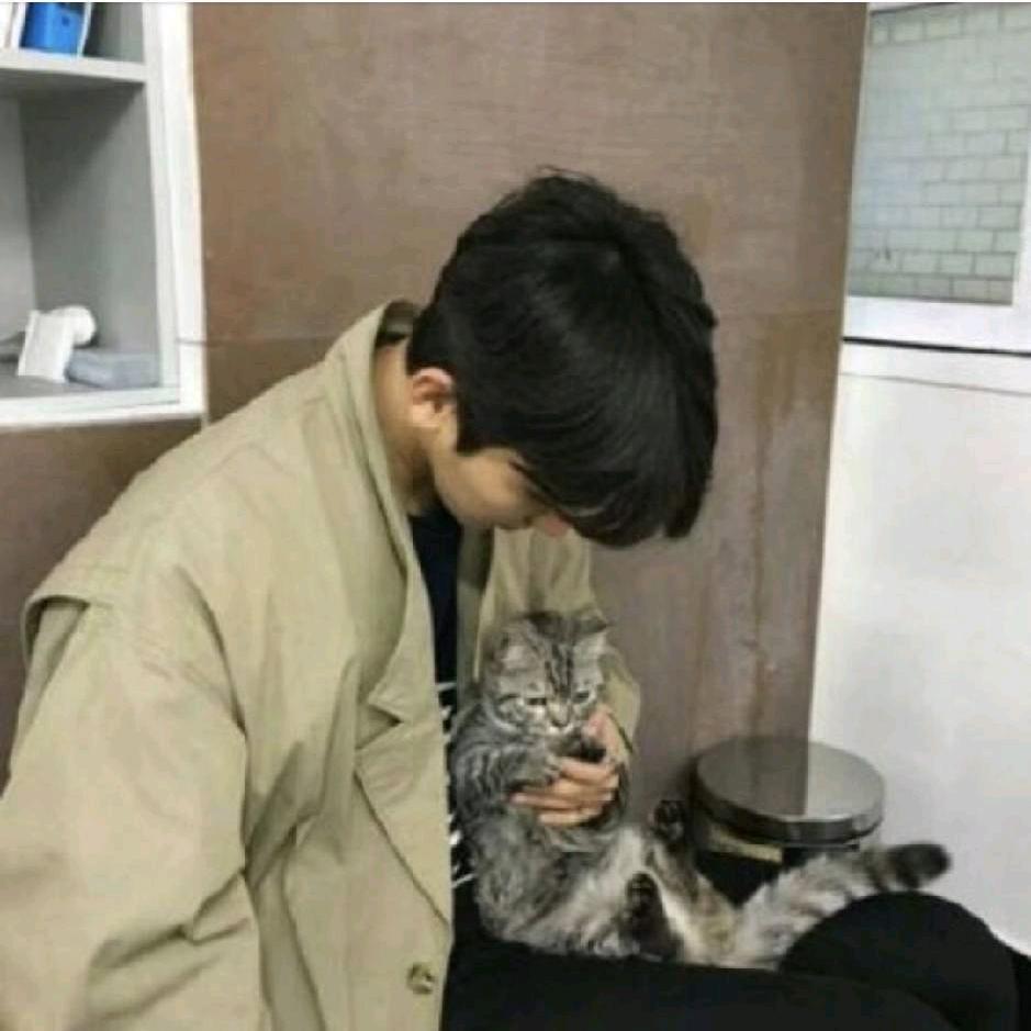 辞忧