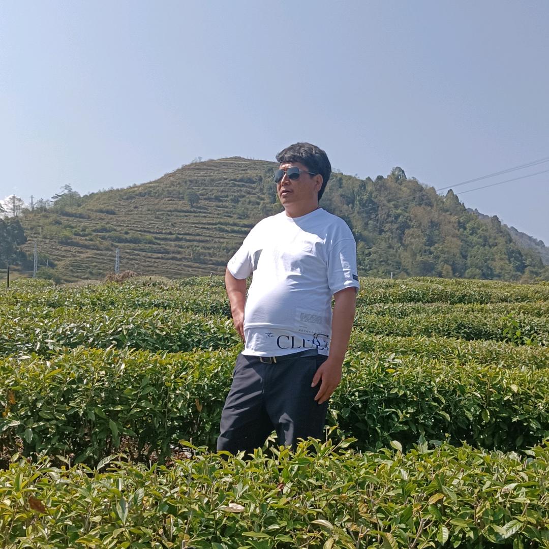 🍁🍀泽仁🌿