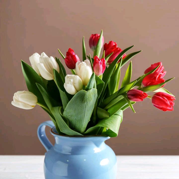 🐱相伴一生😜